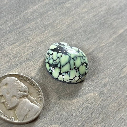 New Lander Variscite Cabochon Z