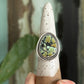 Nautilus Variscite Ring size 8.5