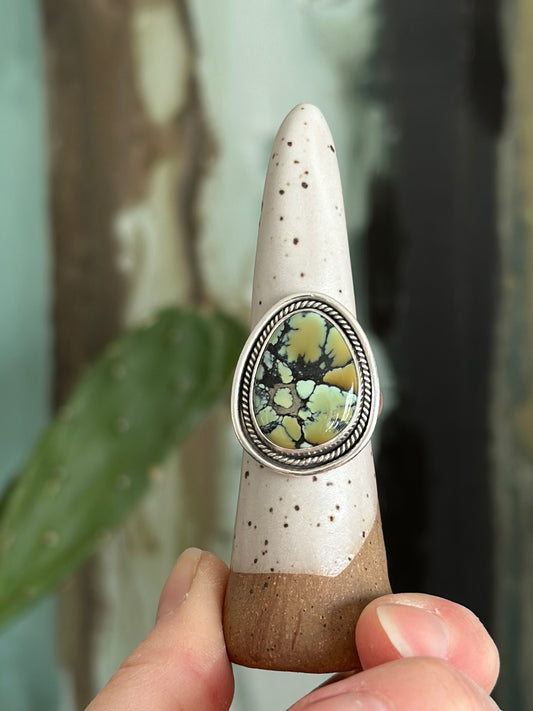 Nautilus Variscite Ring size 8.5