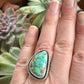 Royston Turquoise Twist Ring in size 7