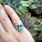 Turtleback Variscite Ring in size 5