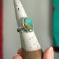 Royston Turquoise Ring in size 7.75