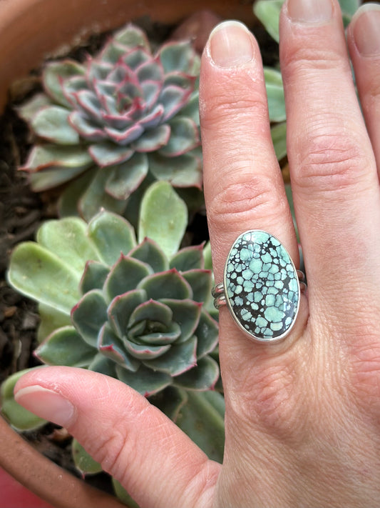 Desert Bloom Variscite Ring in size 9