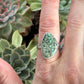 Nautilus Variscite Ring size 8.75 Swirl Flower Band