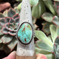 Royston Turquoise Twist Ring in size 8-3/4 to 9