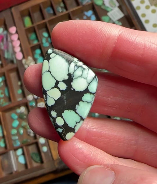 OG Desert Bloom Variscite