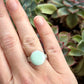Calypso Variscite Round Ring with Swirl Band size 8