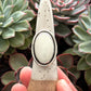 Emerald Basin Variscite Shadowbox Ring in size 9