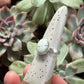 Emerald Basin Variscite Ring size 6.5