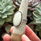 Emerald Basin Variscite Shadowbox Ring in size 9