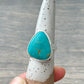 Fox Turquoise Ring in size 8-1/2