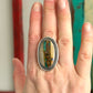 Royston Ribbon Turquoise Ring in size 8.75 to 9