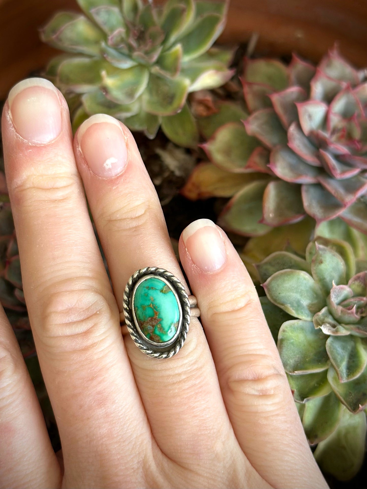 Emerald Valley Turquoise Twist Ring in size 6