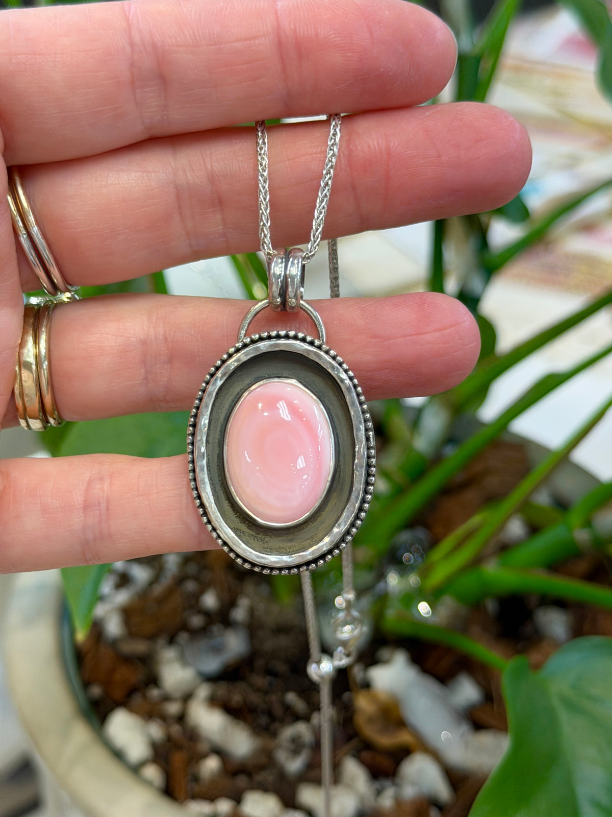 Conch Shell Shadowbox Pendant