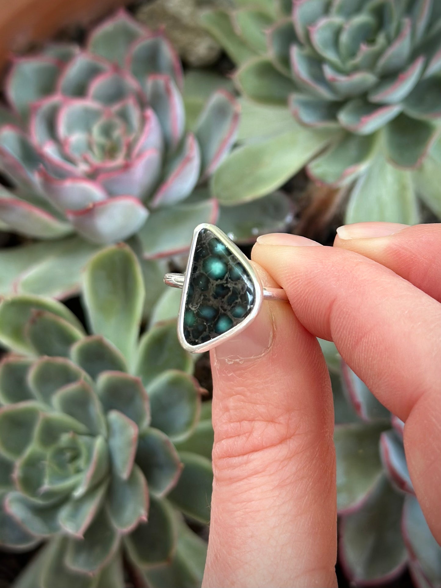 Calypso Variscite Ring in size 6-1/2