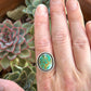 Rising Phoenix Turquoise Ring in size 8.5