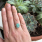 Catalina Turquoise Ring in Blue in size 7