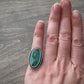 Rising Phoenix Turquoise Ring in size 5
